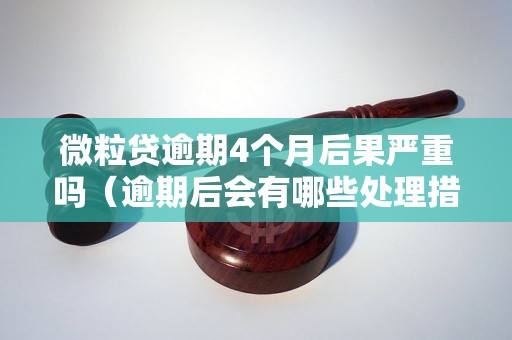 微粒贷逾期4个月后果严重吗（逾期后会有哪些处理措施）