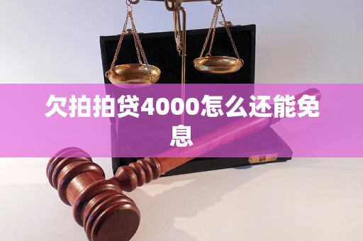 欠拍拍贷4000怎么还能免息