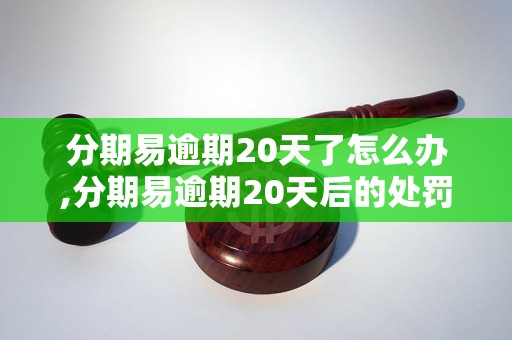 分期易逾期20天了怎么办,分期易逾期20天后的处罚措施