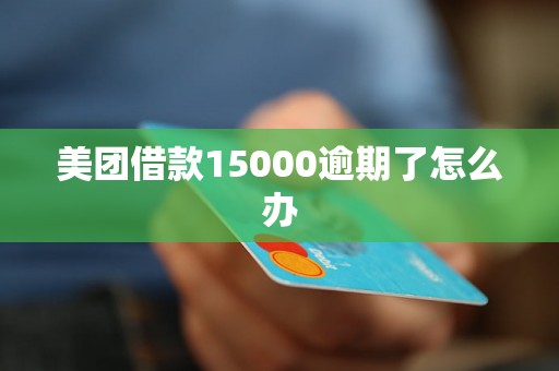 美团借款15000逾期了怎么办