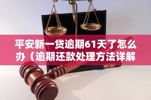 平安新一贷逾期61天了怎么办（逾期还款处理方法详解）