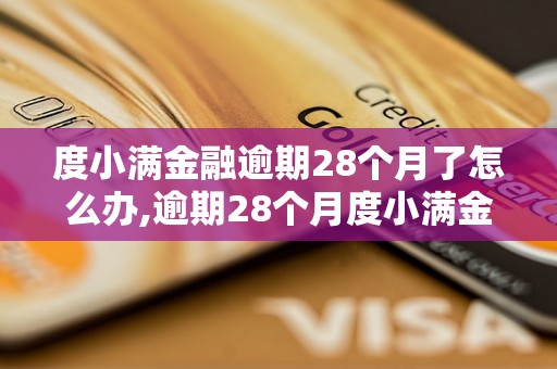 度小满金融逾期28个月了怎么办,逾期28个月度小满金融后果严重吗