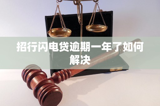 招行闪电贷逾期一年了如何解决