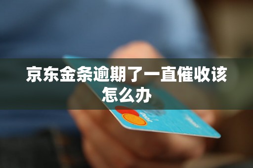 京东金条逾期了一直催收该怎么办