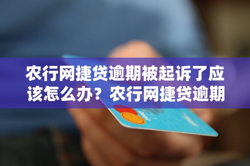 农行网捷贷逾期被起诉了应该怎么办？农行网捷贷逾期案例分析