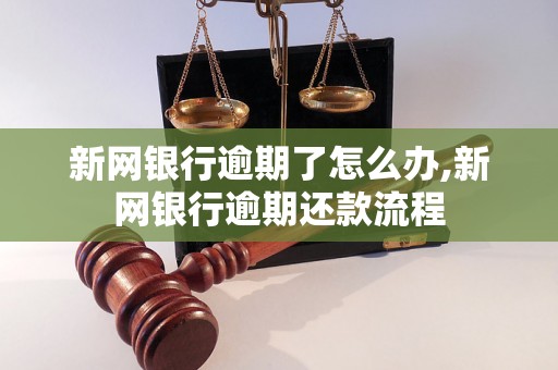 新网银行逾期了怎么办,新网银行逾期还款流程