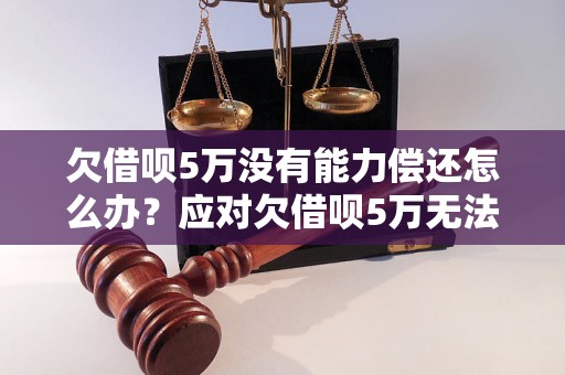 欠借呗5万没有能力偿还怎么办？应对欠借呗5万无法偿还的方法