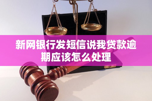 新网银行发短信说我贷款逾期应该怎么处理