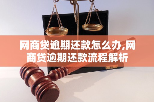 网商贷逾期还款怎么办,网商贷逾期还款流程解析