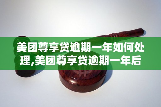 美团尊享贷逾期一年如何处理,美团尊享贷逾期一年后果及解决方法