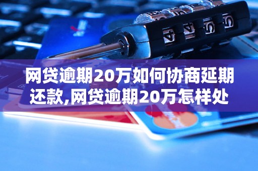 网贷逾期20万如何协商延期还款,网贷逾期20万怎样处理