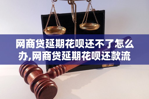 网商贷延期花呗还不了怎么办,网商贷延期花呗还款流程详解