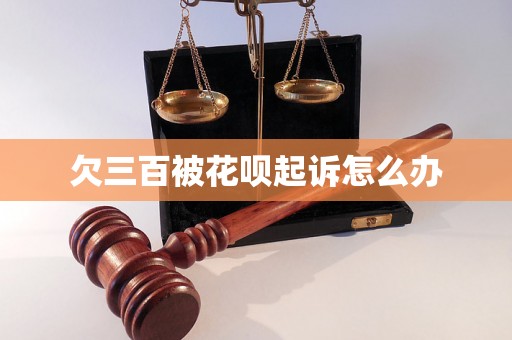 欠三百被花呗起诉怎么办