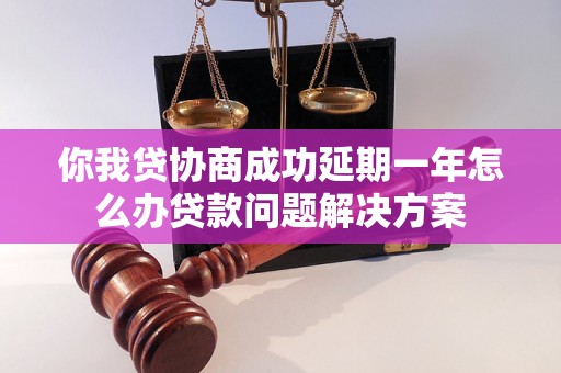 你我贷协商成功延期一年怎么办贷款问题解决方案