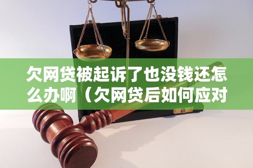 欠网贷被起诉了也没钱还怎么办啊（欠网贷后如何应对诉讼及还款困境）