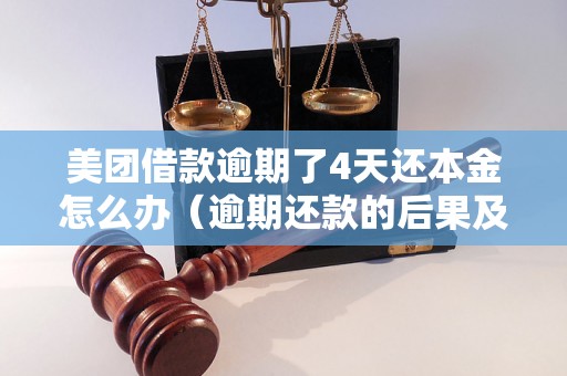 美团借款逾期了4天还本金怎么办（逾期还款的后果及处理方法）