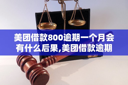 美团借款800逾期一个月会有什么后果,美团借款逾期罚款标准