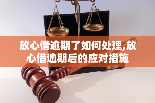 放心借逾期了如何处理,放心借逾期后的应对措施