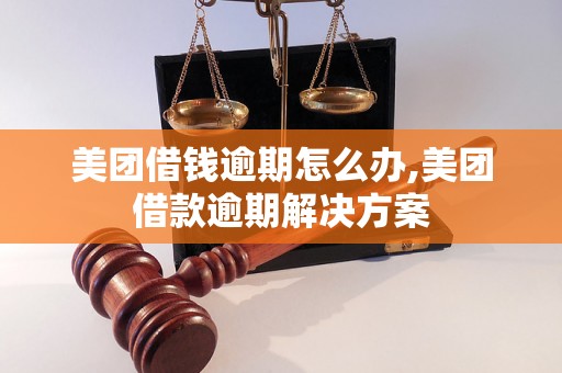 美团借钱逾期怎么办,美团借款逾期解决方案