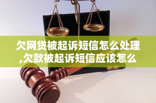 欠网贷被起诉短信怎么处理,欠款被起诉短信应该怎么回复