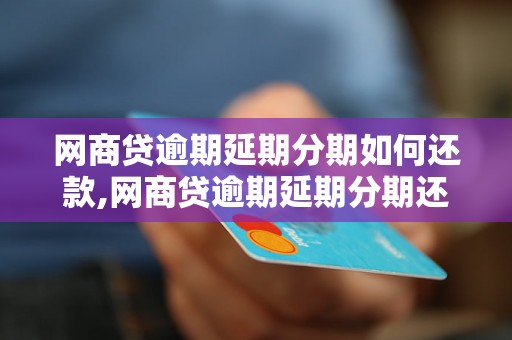 网商贷逾期延期分期如何还款,网商贷逾期延期分期还款流程解析