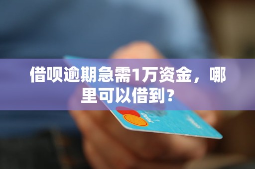 借呗逾期急需1万资金，哪里可以借到？