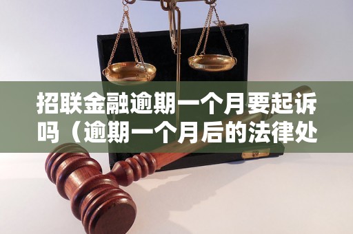 招联金融逾期一个月要起诉吗（逾期一个月后的法律处理及后果）