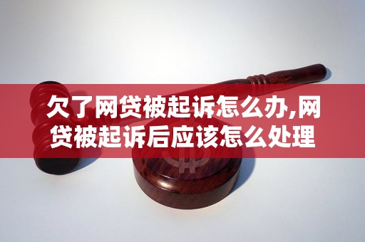 欠了网贷被起诉怎么办,网贷被起诉后应该怎么处理