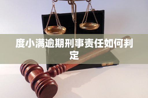 度小满逾期刑事责任如何判定