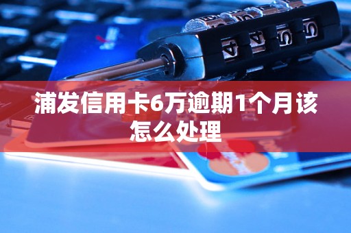 浦发信用卡6万逾期1个月该怎么处理