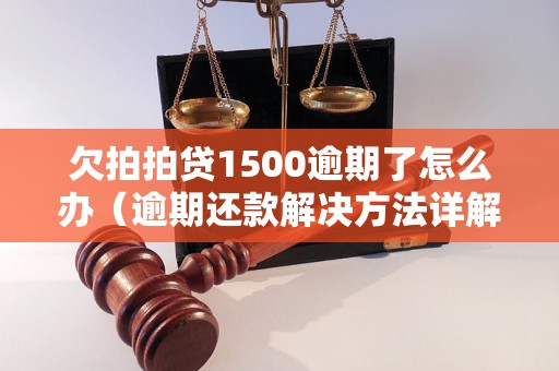 欠拍拍贷1500逾期了怎么办（逾期还款解决方法详解）