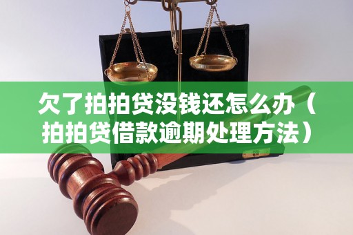 欠了拍拍贷没钱还怎么办（拍拍贷借款逾期处理方法）