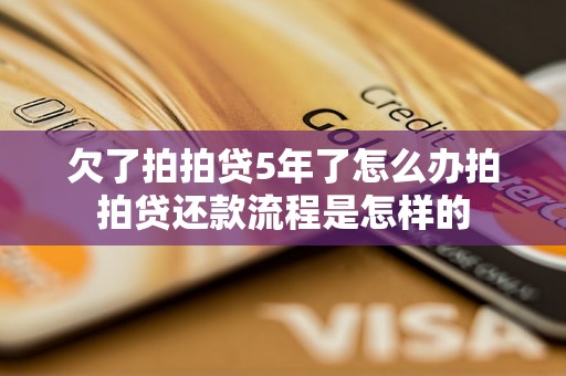 欠了拍拍贷5年了怎么办拍拍贷还款流程是怎样的