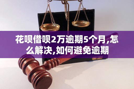 花呗借呗2万逾期5个月,怎么解决,如何避免逾期