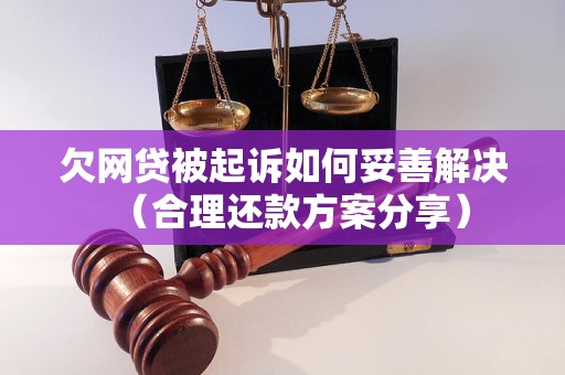 欠网贷被起诉如何妥善解决（合理还款方案分享）