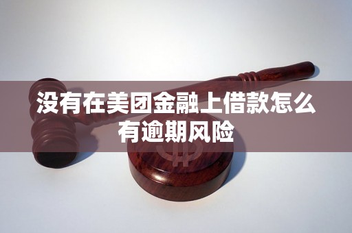 没有在美团金融上借款怎么有逾期风险