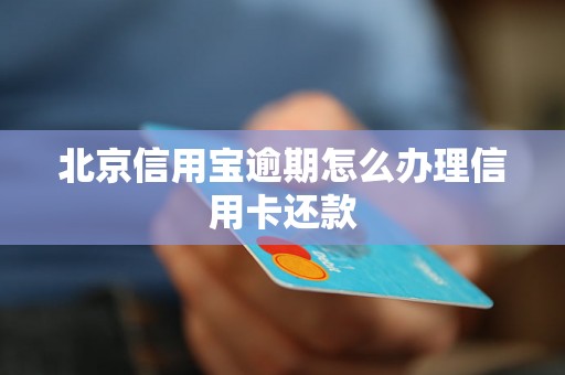 北京信用宝逾期怎么办理信用卡还款