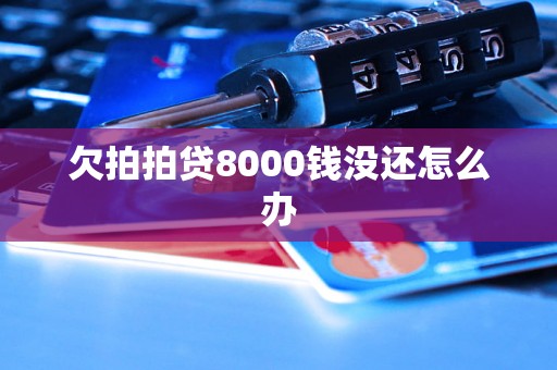 欠拍拍贷8000钱没还怎么办