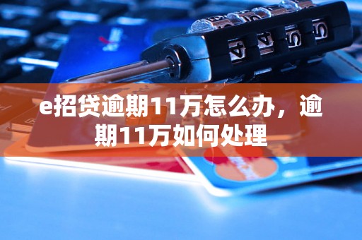 e招贷逾期11万怎么办，逾期11万如何处理