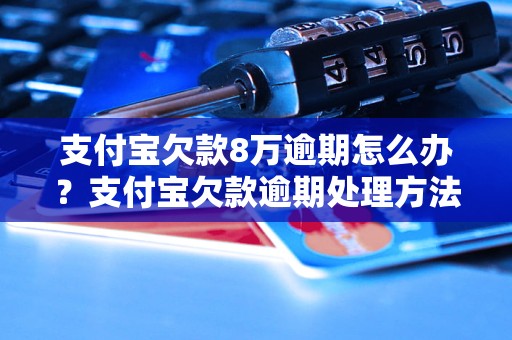 支付宝欠款8万逾期怎么办？支付宝欠款逾期处理方法