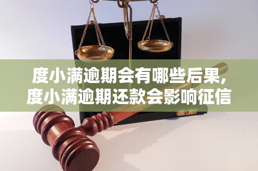 度小满逾期会有哪些后果,度小满逾期还款会影响征信吗