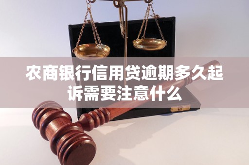 农商银行信用贷逾期多久起诉需要注意什么