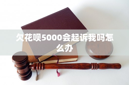 欠花呗5000会起诉我吗怎么办