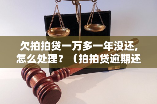 欠拍拍贷一万多一年没还,怎么处理？（拍拍贷逾期还款解决方案）