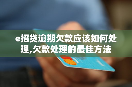 e招贷逾期欠款应该如何处理,欠款处理的最佳方法