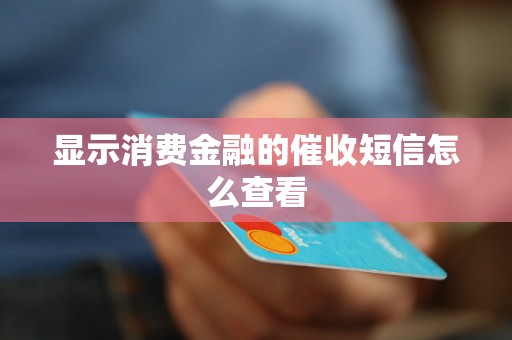 显示消费金融的催收短信怎么查看