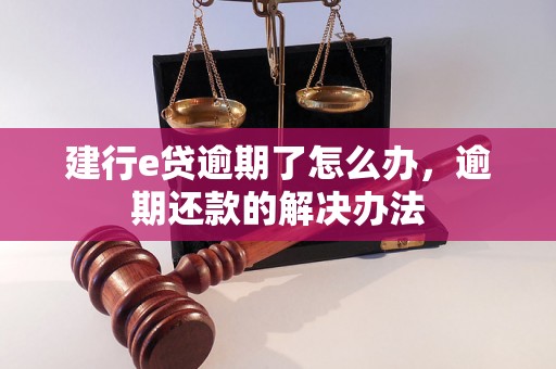 建行e贷逾期了怎么办，逾期还款的解决办法