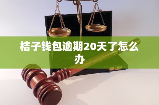 桔子钱包逾期20天了怎么办