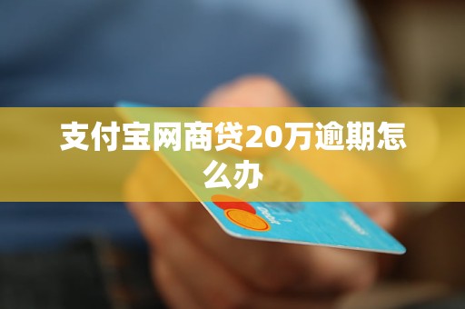 支付宝网商贷20万逾期怎么办