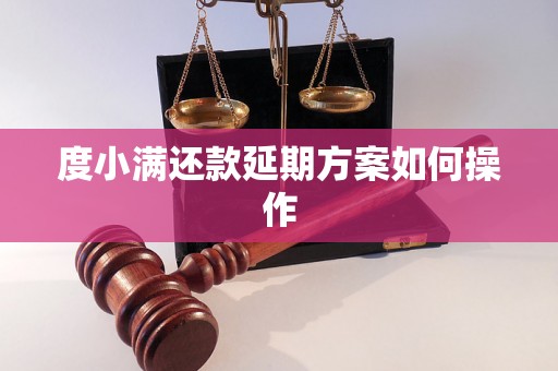 度小满还款延期方案如何操作